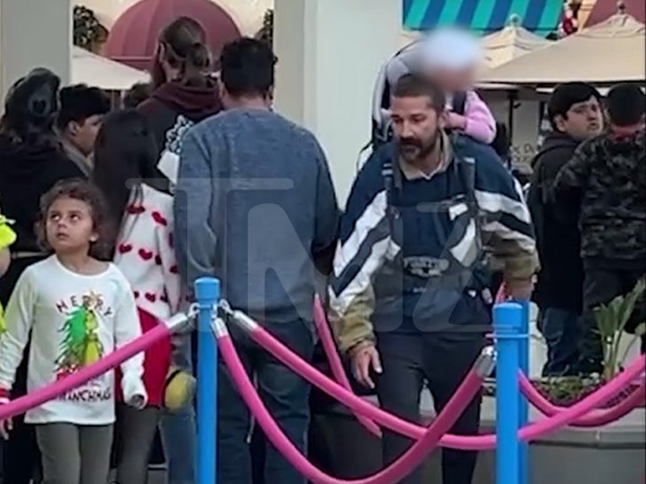 d8d256dc8e6245f086451ebe1cc01a9a_md Shia Labeouf