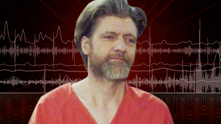 061323-Ted-Kaczynski-audio-art-4.-png