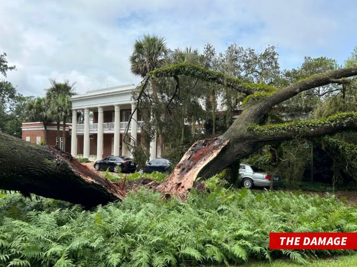 0830 Ron DeSantis tree house comp