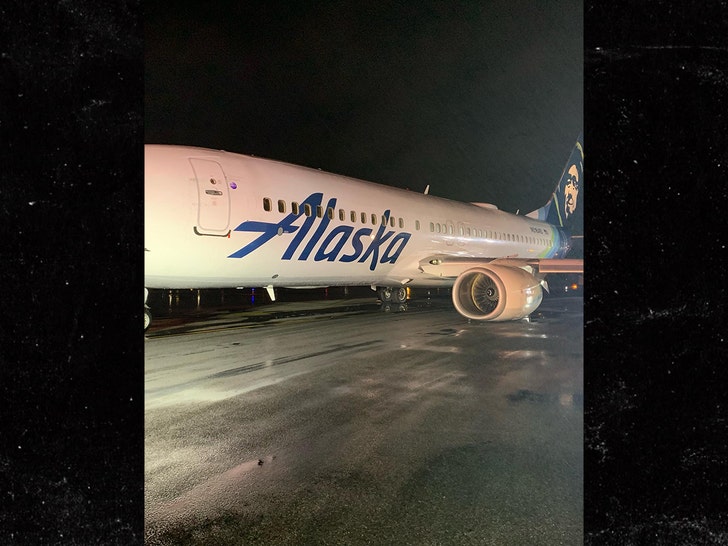 alaska airlines flight damages twitter 1