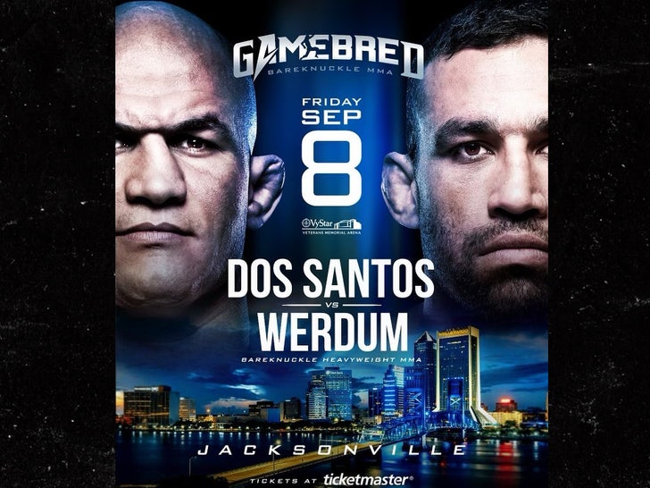 dos santos werdum poster