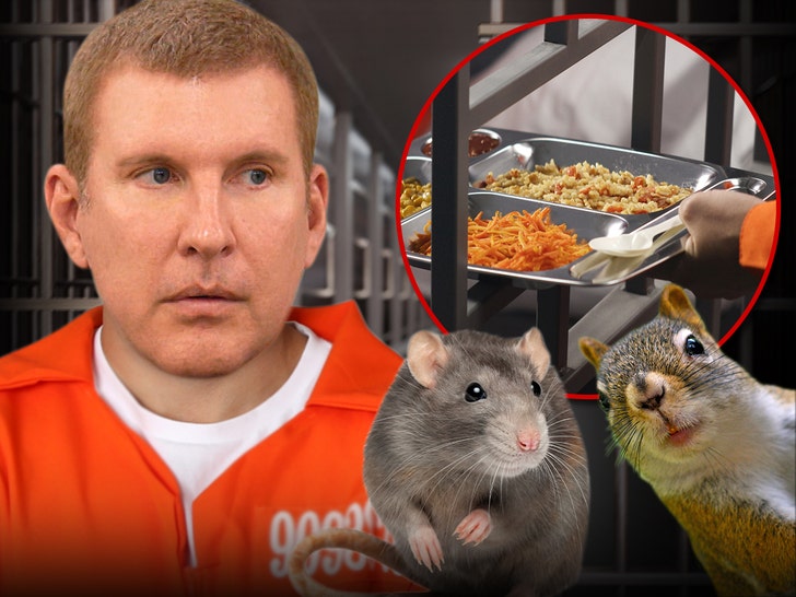 todd chrisley prison dead rat dinner getty tmz 1
