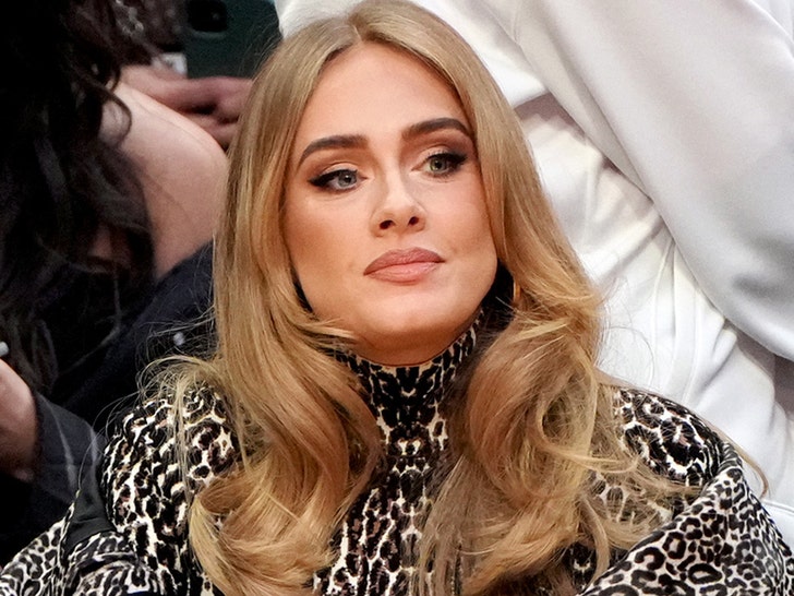 e3f572786e044a359147ef32394d763d_md Adele