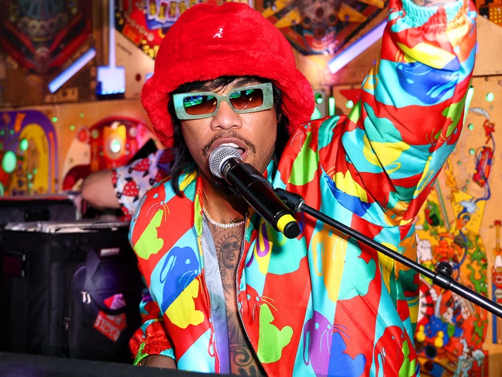 Anderson .Paak Performance Pics