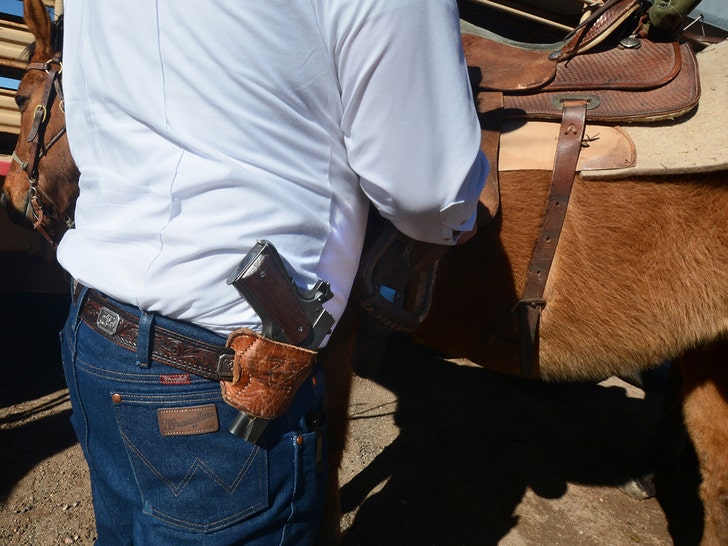 new mexico open carry