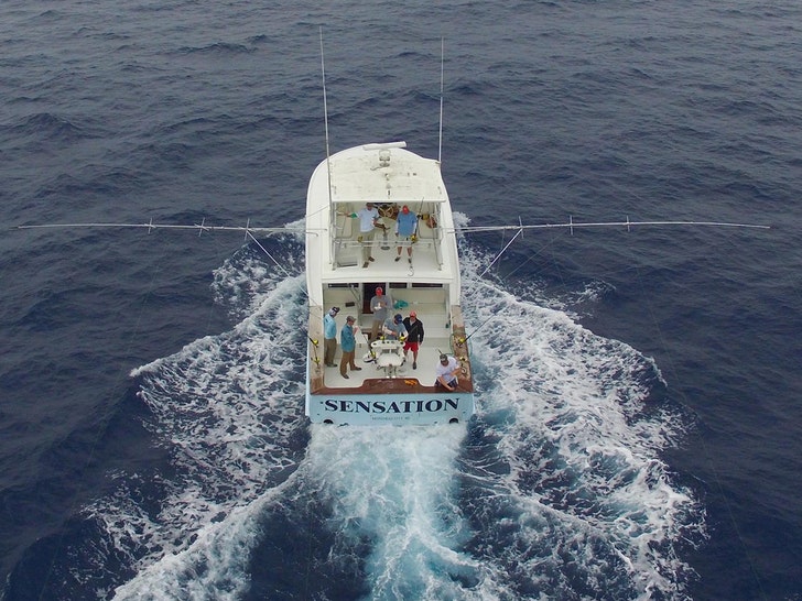 big rock tournament blue marlin insta 3