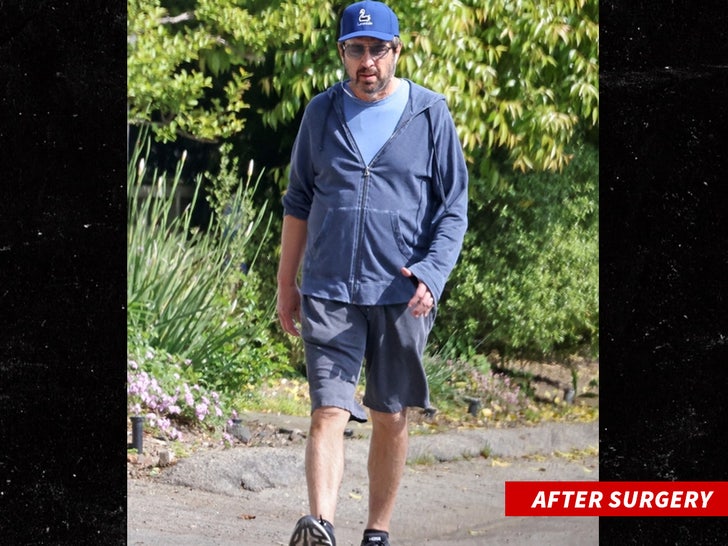 eeafe4918d04464e953553c6531060b3_md 0425-ray-romano-backgrid