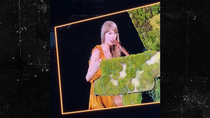 060323_taylor_swift_kal