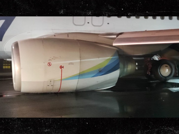 alaska airlines flight damages twitter 4