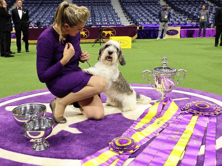 Westminster Dog Show