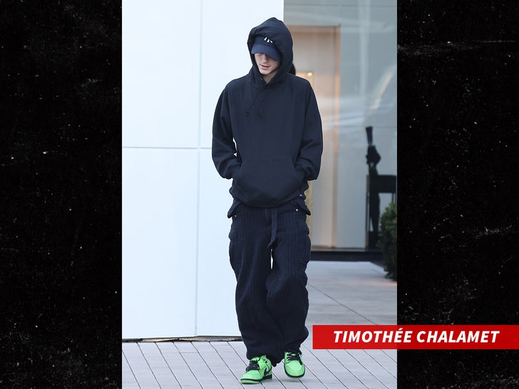 f4990634e3724b4f80338a2d2d0b35a0_md TIMOTHEE CHALAMET