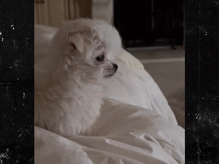 082323-britney-spears-snow-primary-v2