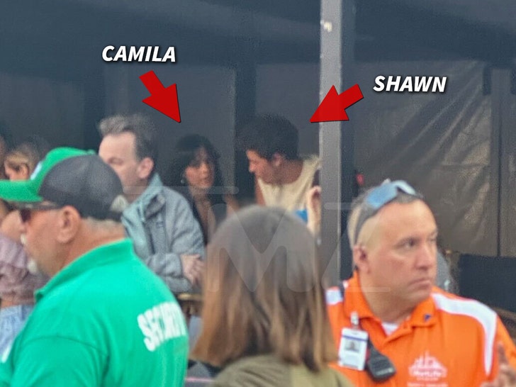 f5739291c38a45a799dc3c0cb025d420_md camila cabello and shawn mendes