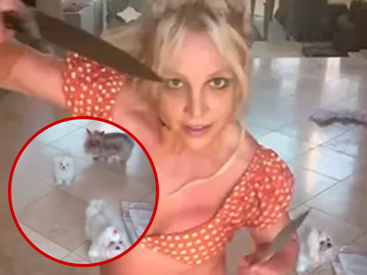 britney spears knifes