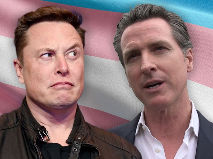 elon musk gavin newsom