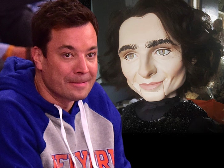 jimmy fallon and timothee Chalamet Puppet getty no credit 1