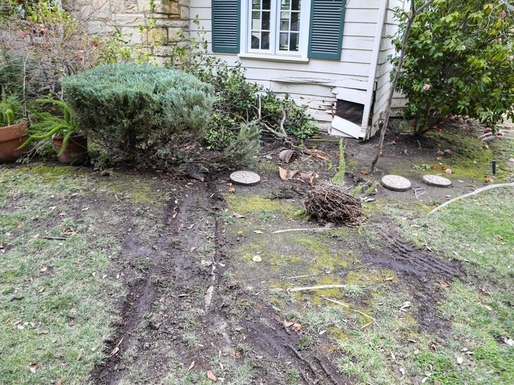 Pete Davidson Car Crash -- The House Damage