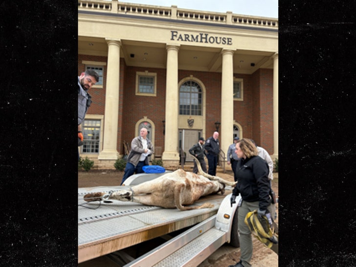dead longhorn fraterinty house 1
