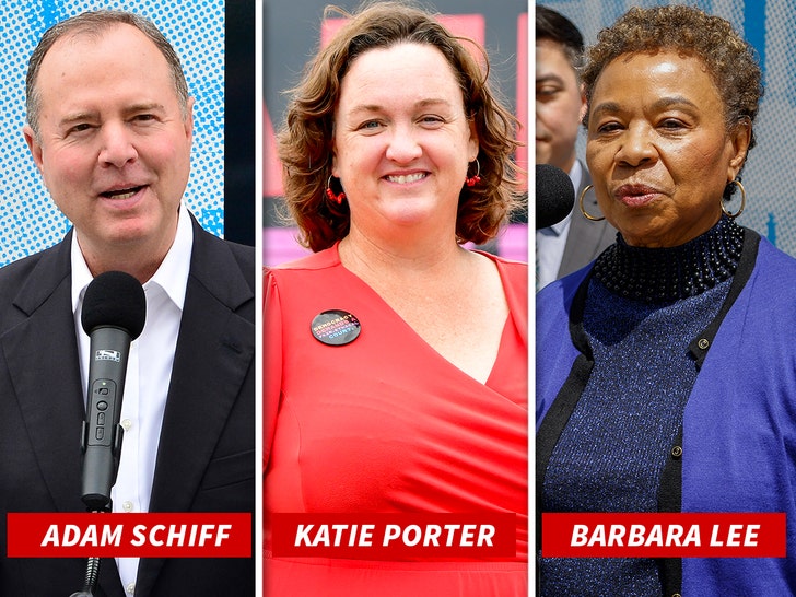 adam schiff katie porter barbara lee getty 1