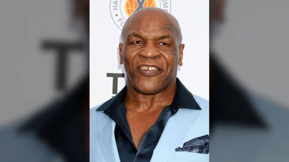 Mike Tyson said pigeon racing has been a lifelong hobby, with hundreds of specially bred birds entered in competitions.