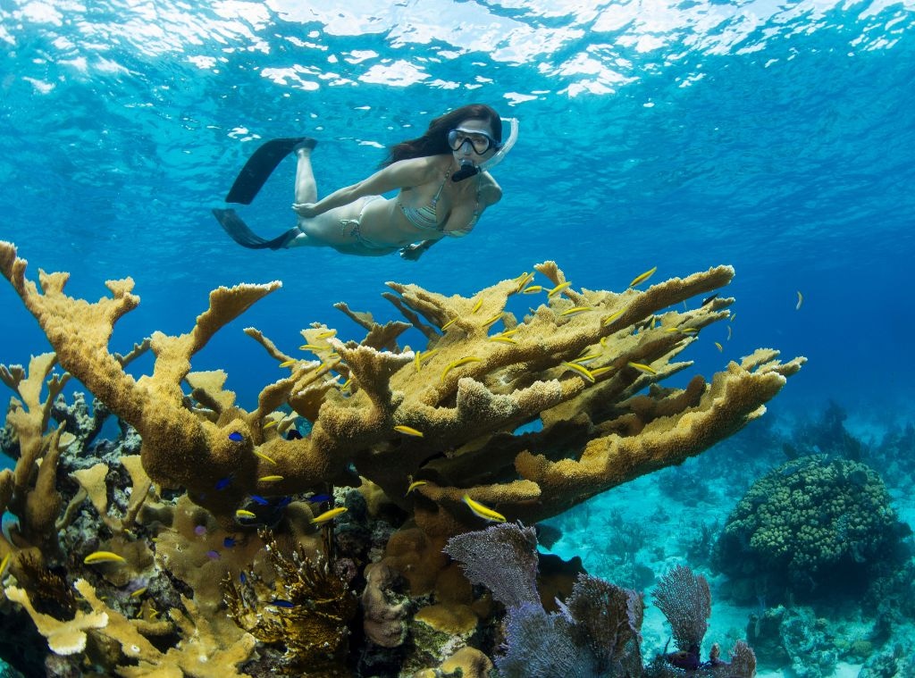 shop_reef safe sunblock_hero