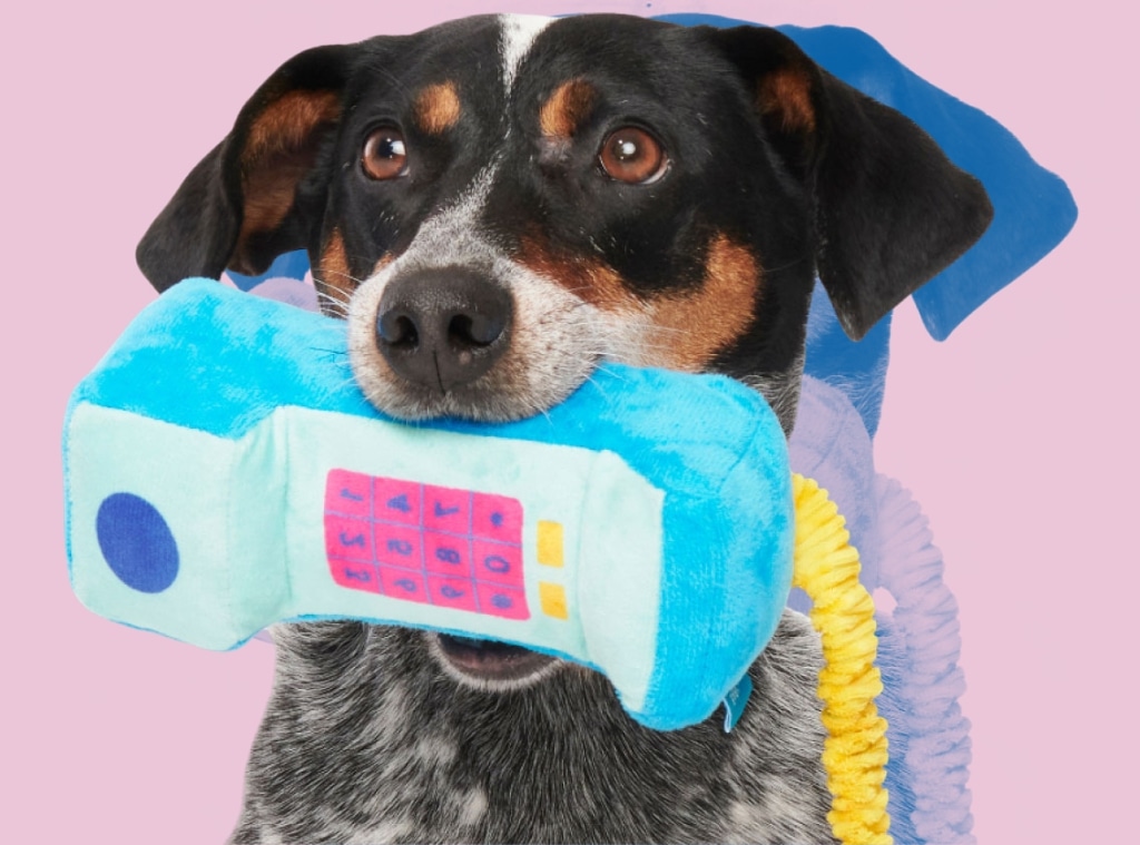 Shop BarkBox Subscription