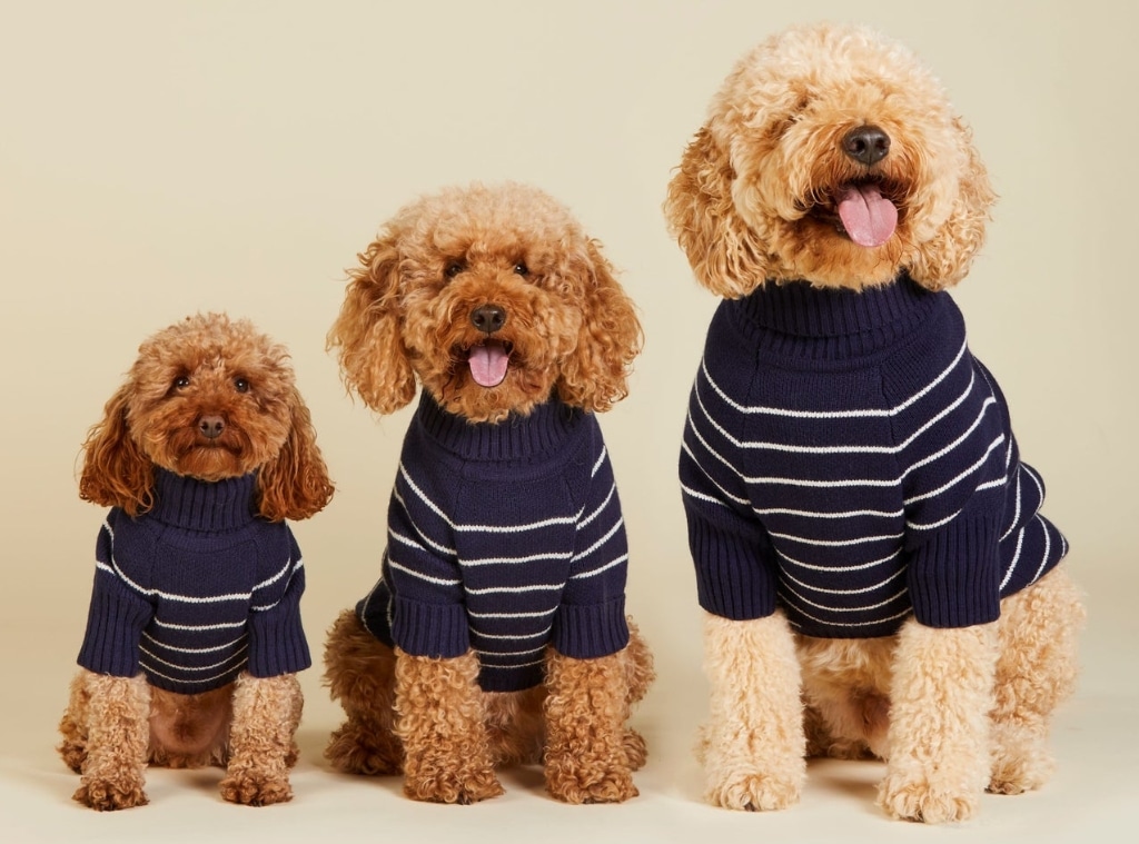 Shop Draper James x The Foggy Dog