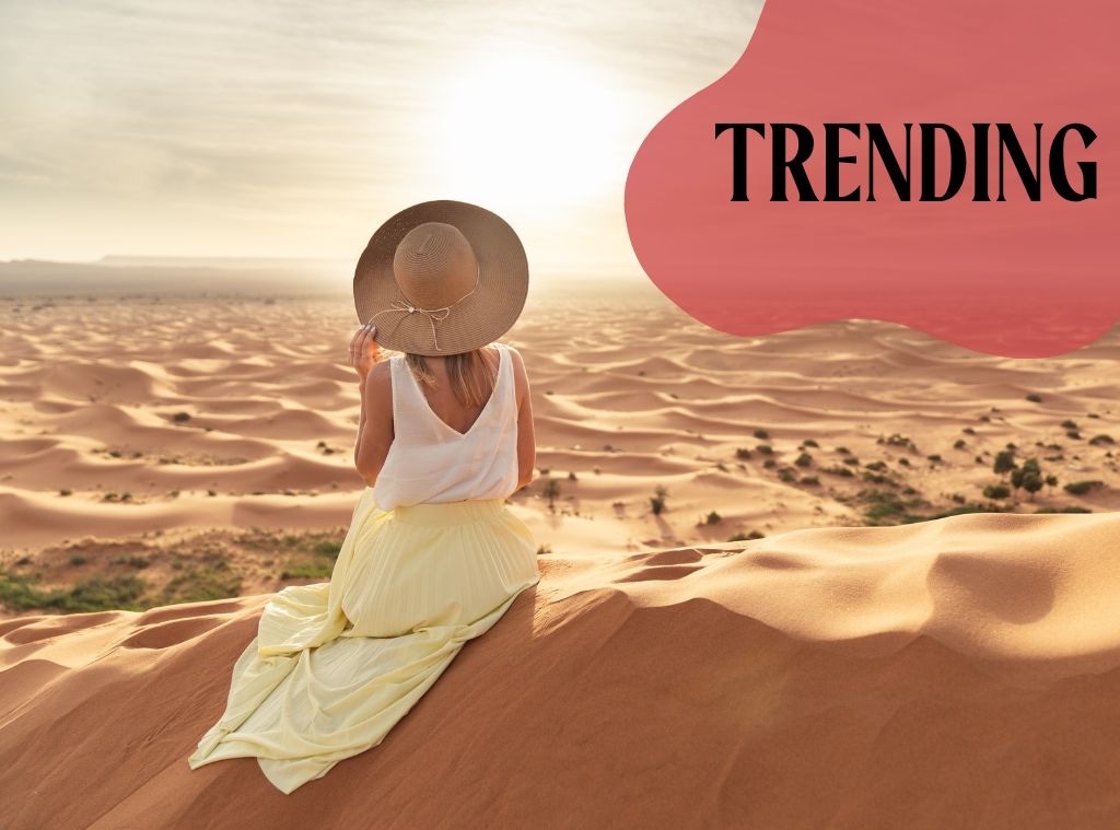 shop_chic desert aunt_hero