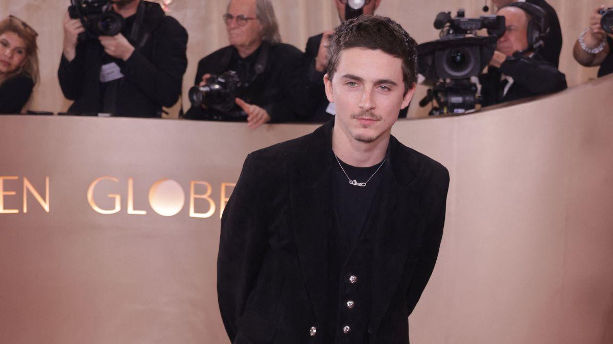 Photo of Timothée Chalamet