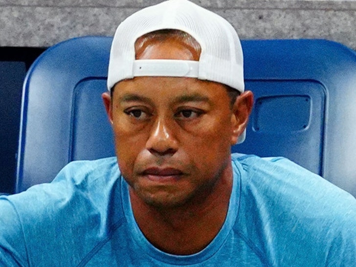 1fb7153ba07c4312b1836984115fd518_md tiger woods