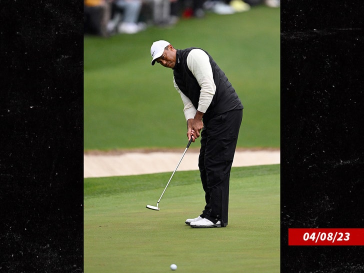 96078d28c61543c1a3c321e1c166bff4_md tiger woods